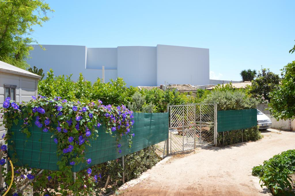 Guest House Al Giardino Dei Limoni فافينانا المظهر الخارجي الصورة